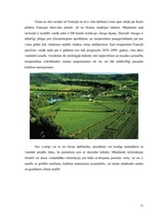 Konspekts 'Reklāmas darbības analīze par trīs smaržu kompānijām', 11.