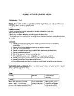 Konspekts 'Svētku dienas plānojums pirmsskolā', 2.