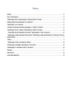 Referāts 'Latvijas Republikas tiesībsargs', 2.