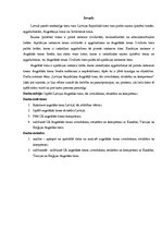 Referāts 'Augstākā tiesa, tās izveidošana un kompetence', 3.