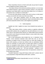 Referāts 'Augstākā tiesa, tās izveidošana un kompetence', 13.