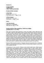 Referāts 'Augstākā tiesa, tās izveidošana un kompetence', 21.