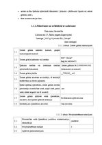 Diplomdarbs 'Viesu nama būvprojekts', 7.