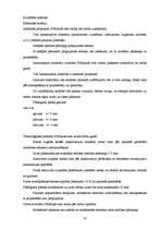 Diplomdarbs 'Viesu nama būvprojekts', 58.