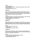 Paraugs 'Pārdomas par Ziemassvētku eglītes ciršanu dažādos valodas stilos', 2.