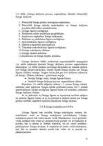 Referāts 'Līzings kā finansējuma veids uzņēmējdarbībai', 13.