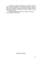 Referāts 'Līzings kā finansējuma veids uzņēmējdarbībai', 29.