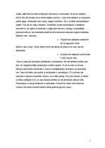 Referāts 'Brain', 2.