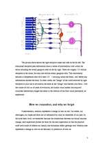 Referāts 'Brain', 5.