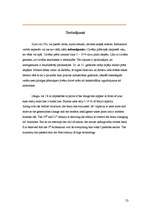 Referāts 'Brain', 20.