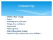 Prezentācija 'Endodontija bērniem - pastāvīgajiem zobiem ar nenoformētām saknēm', 2.