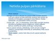 Prezentācija 'Endodontija bērniem - pastāvīgajiem zobiem ar nenoformētām saknēm', 5.
