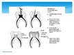 Prezentācija 'Endodontija bērniem - pastāvīgajiem zobiem ar nenoformētām saknēm', 11.