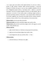 Referāts 'Patriotisma audzināšana sociālo zinību stundās', 3.