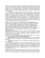 Konspekts 'Valsts kā vispārējā labuma kategorija', 2.