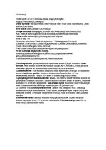 Konspekts 'Lielbritānija', 1.