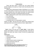 Konspekts 'Projektu vadīšanas jēdziens un attīstības fāzes', 2.