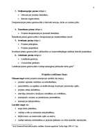 Konspekts 'Projektu vadīšanas jēdziens un attīstības fāzes', 4.