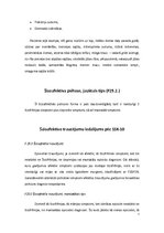 Referāts 'Šizoafektīva psihoze', 7.