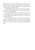 Eseja 'Laulības ar citas etniskās piederības pārstāvi', 7.