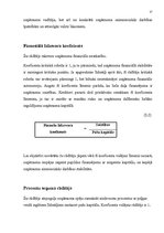 Referāts 'Uzņēmuma finanšu likviditātes un maksātspējas analīze', 15.