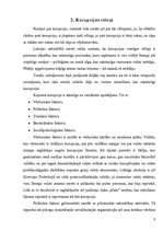Referāts 'Korupcija - jēdziens, cēloņi, sekas un prevencija', 5.