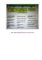 Konspekts 'Cenu veidi', 3.