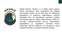 Prezentācija 'Lietotne "Mednis"', 2.