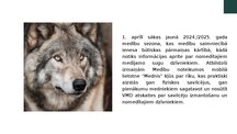 Prezentācija 'Lietotne "Mednis"', 4.