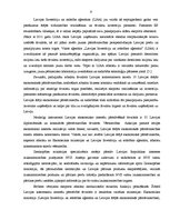 Referāts 'Eksporta atbalsts Latvijā', 9.