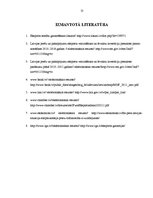 Referāts 'Eksporta atbalsts Latvijā', 13.