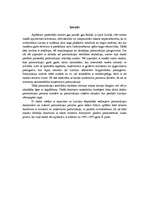 Referāts 'Privatizācija', 2.