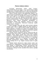 Referāts 'Romas māksla', 12.