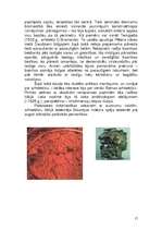 Referāts 'Romas māksla', 17.