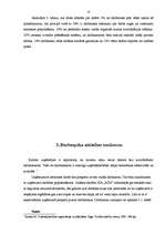 Referāts 'Darbaspēka analīze uzņēmumā', 18.