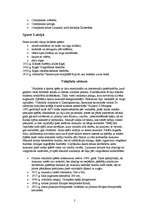 Konspekts 'Sporta vēstures iedalījums', 2.