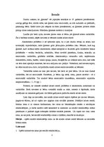 Referāts 'Sociālā rehabilitētāja lomas krīzes centrā bērniem un sievietēm "Māras centrs"', 4.