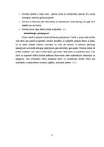 Referāts 'Sociālā rehabilitētāja lomas krīzes centrā bērniem un sievietēm "Māras centrs"', 17.