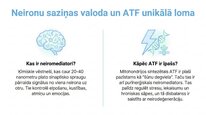 Prezentācija 'Adenozīntrifosfāts kā smadzeņu un ķermeņa signālmolekula', 2.