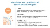 Prezentācija 'Adenozīntrifosfāts kā smadzeņu un ķermeņa signālmolekula', 9.