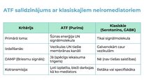Prezentācija 'Adenozīntrifosfāts kā smadzeņu un ķermeņa signālmolekula', 12.
