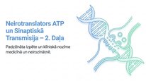 Prezentācija 'Adenozīntrifosfāts kā smadzeņu un ķermeņa signālmolekula', 14.