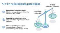 Prezentācija 'Adenozīntrifosfāts kā smadzeņu un ķermeņa signālmolekula', 16.