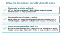 Prezentācija 'Adenozīntrifosfāts kā smadzeņu un ķermeņa signālmolekula', 24.