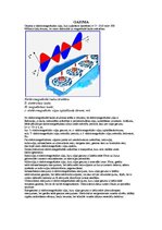 Konspekts 'Gaisma', 1.