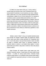 Konspekts 'Lobistu vides raksturojums ES un Latvijā', 2.