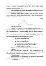 Referāts 'Montesori metodes izmantošana sociālo prasmju apguvē', 6.