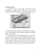 Referāts 'Saules paneļi', 7.