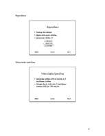 Konspekts 'Datoru arhitektūra', 12.