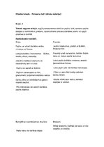 Konspekts 'Stundas plāns mājturībā. Pavasara ziedi', 1.